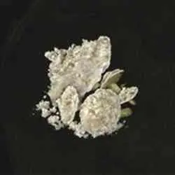 محل Mushroom در Elden Ring