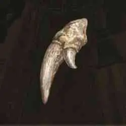 محل یافتن Old Fang در Elden Ring