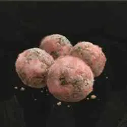 محل Preserving Boluses در Elden Ring