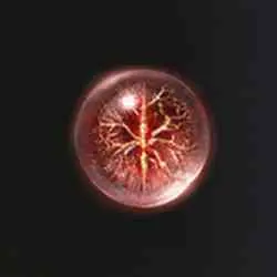 محل Purifying Crystal Tear در Elden Ring