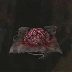 مکان Raw Meat Dumpling در Elden Ring