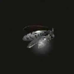 محل Silver Firefly در Elden Ring