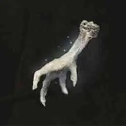 محل Silver-Pickled Fowl Foot در Elden Ring