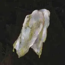 محل Strip of White Flesh در Elden Ring