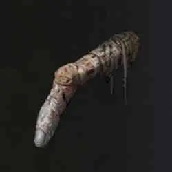 محل Tarnished&rsquo;s Wizened Finger در Elden Ring