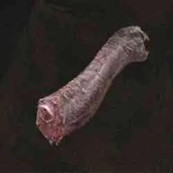 محل پیدا کردن Turtle Neck Meat در Elden Ring