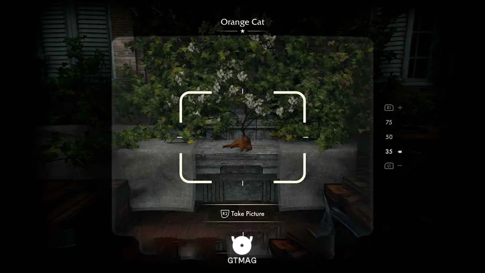 Mystery Note .19: Orange Cat 10 AP - راهنمای ماموریت The Stolen Cat Mummy در Indiana Jones and the Great Circle