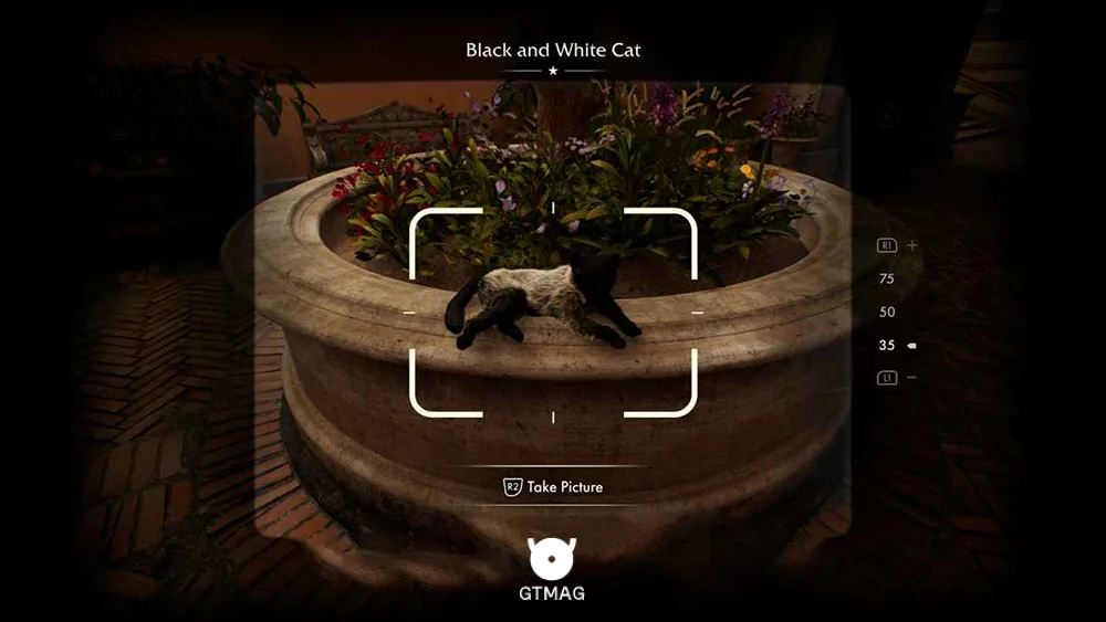 Mystery Note .21: Black and White Cat 10 AP - راهنمای ماموریت The Stolen Cat Mummy در Indiana Jones and the Great Circle