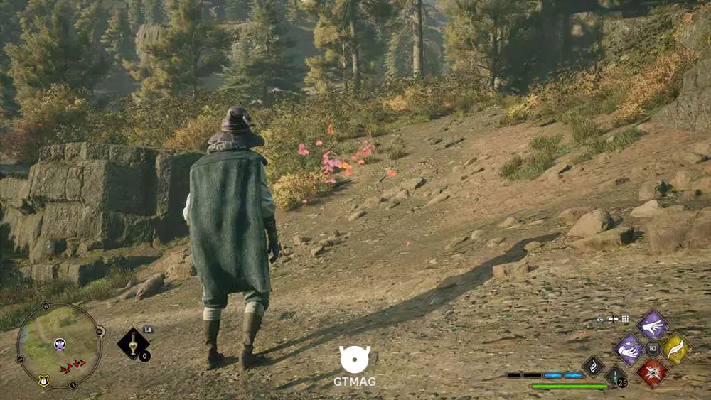 NORTH FORD BOG - 1 BUTTERFLY - مکان تمام پروانهها در Hogwarts Legacy