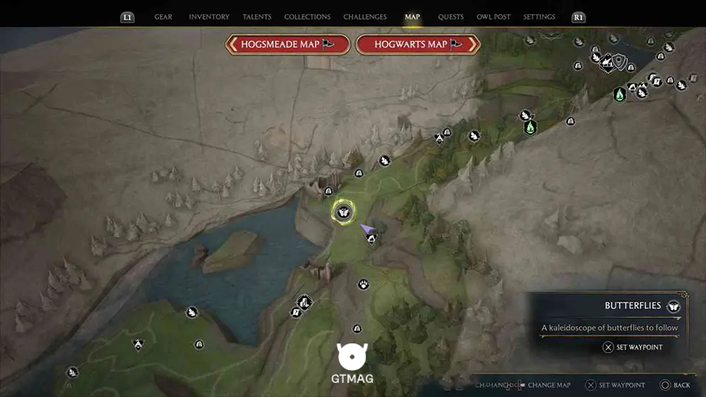 FELDCROFT REGION - 2 BUTTERFLIES - مکان تمام پروانهها در Hogwarts Legacy