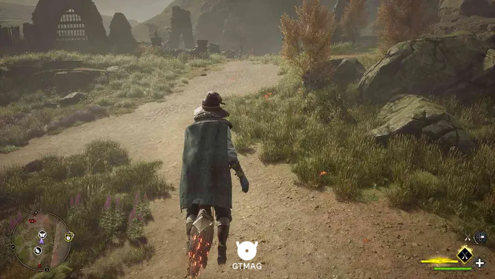 POIDSEAR COAST - 2 BUTTERFLIES - مکان تمام پروانهها در Hogwarts Legacy
