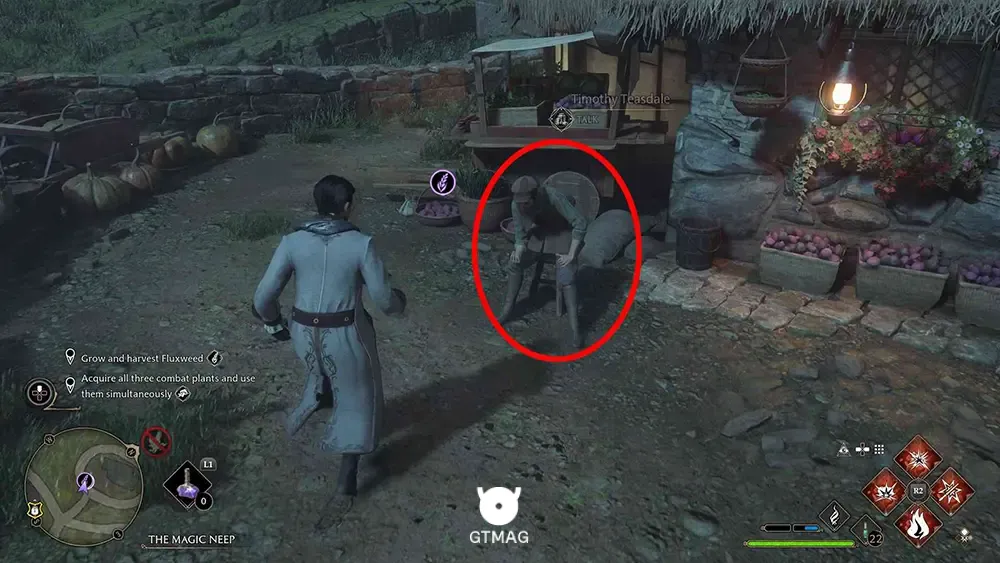 شماره 3 - Knotgrass Seed (Small Plant) - تمام مکان های گیاهان (Plants) در هاگوارتز لگسی (Hogwarts Legacy)