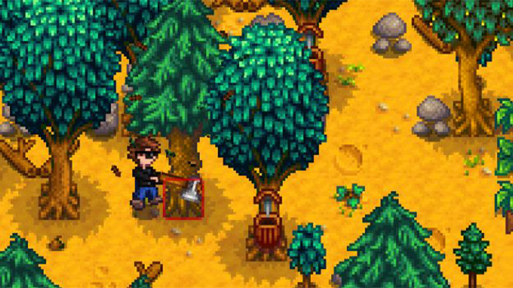 Stardew Valley