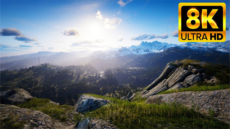Read Dead Redemption II graphics
