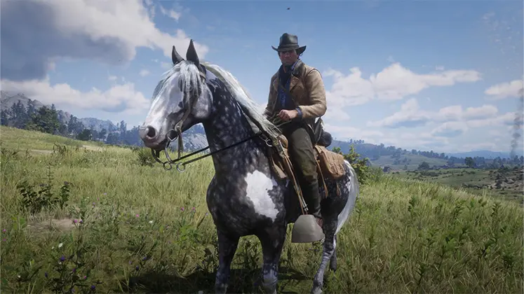 تصویری از اسب Missouri Fox Trotter در RDR2