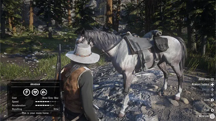 اسب Rose Grey Bay Arabian در Red Dead Redemption 2