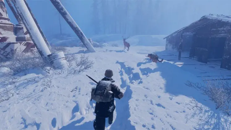 تفاوت ترس و بقا - Survival Horror با ژانر بقا Survival