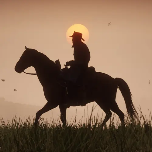 تصویری از بازی Red Dead Redemption 2