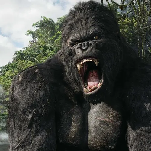 تصویری از فیلم Peter Jackson’s King Kong