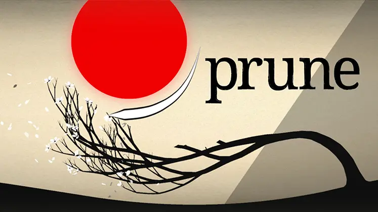 بنری از بازی Prune