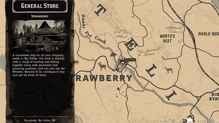 فروشگاه عمومی استرابری (Strawberry General Store) در بازی Red Dead Redemption 2