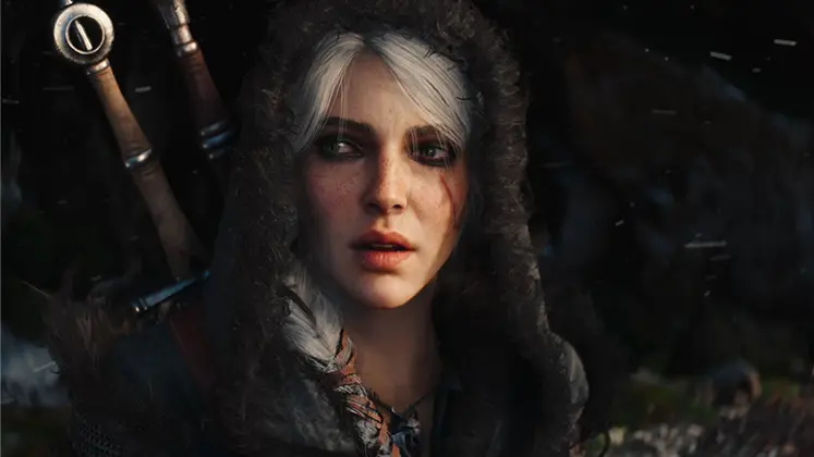تصویری از بازی  The Witcher 4