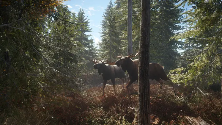 نمایی از بازی theHunter: Call of the Wild