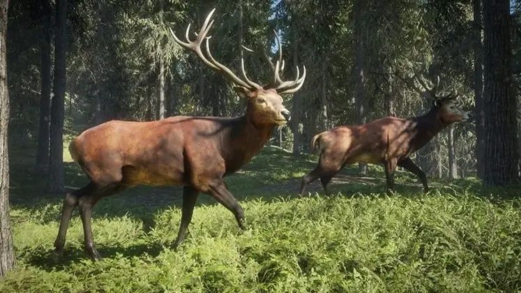 تصویری از گوزن دم سیاه در بازی theHunter: Call of the Wild