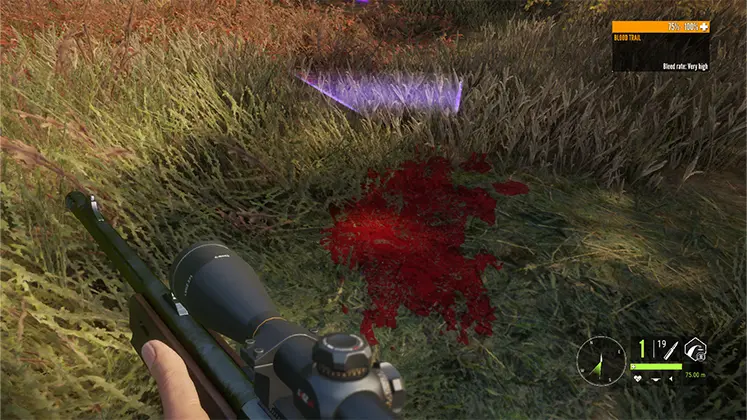 تصویری از وجود خون در بازی theHunter: Call of the Wild