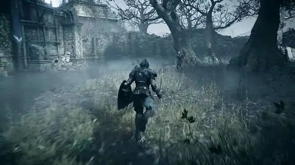 نمایی از بازی Demon's Souls