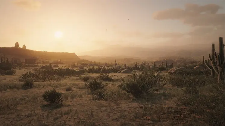 تصویری از نیو آستین در بازی Red Dead Redemption 2