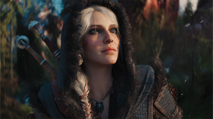 تصویری از بازی The Witcher 4